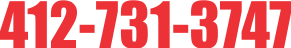 Graphic of Phone number 412-731-3747